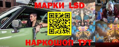 шишки Краснодар