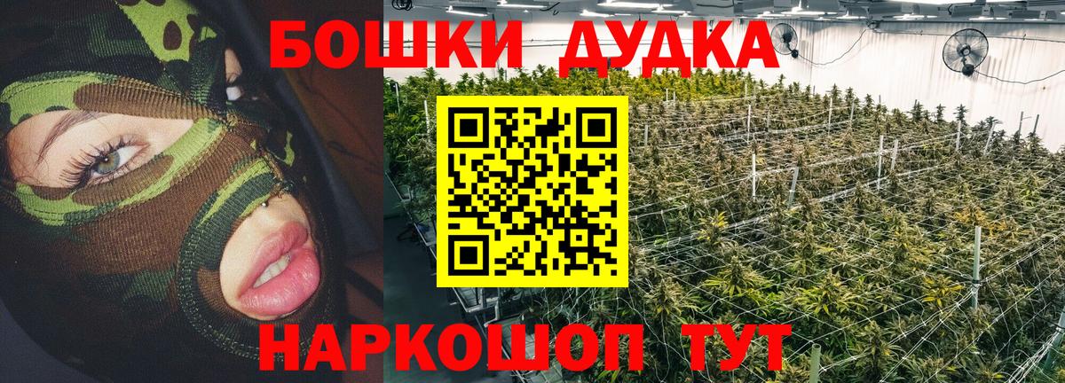 Конопля Bruce Banner  Канабис планчик  МАРИХУАНА сатива  Елец  Шишки марихуана сатива  Вход с VPN 